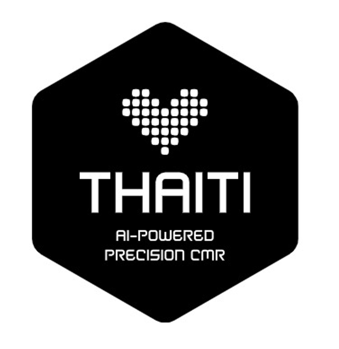 THAITI Logo